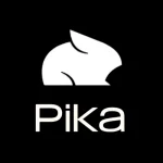 🎨 Pika AI Art Подписка | Без входа в аккаунт | 0% комиссии